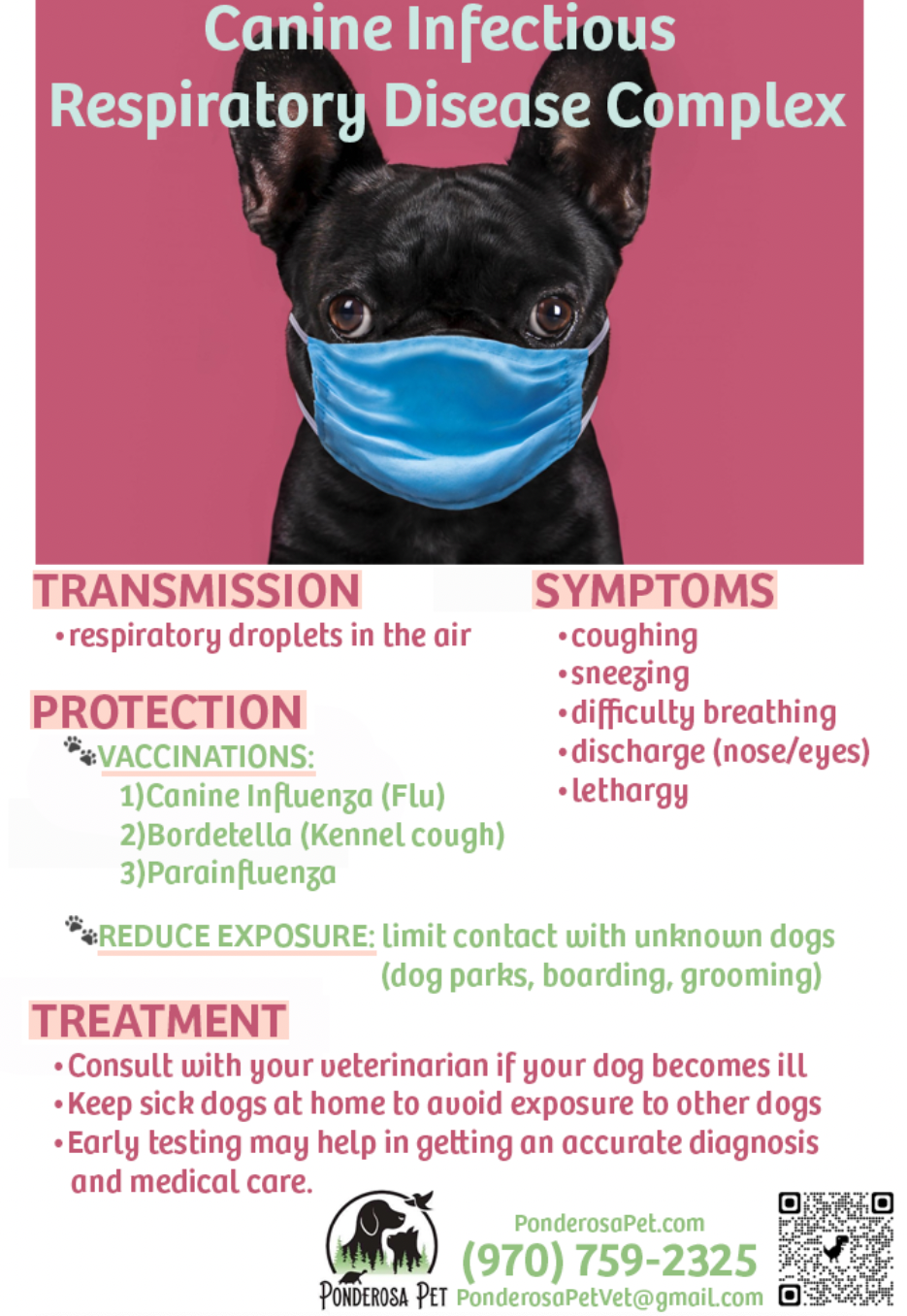 Canine Respiratory Disease News